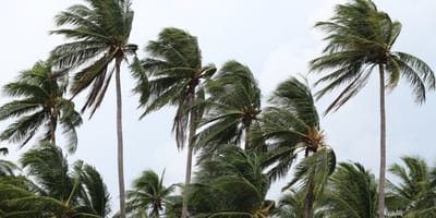 defesa-civil-do-rio-emite-alerta-para-chuvas-e-ventanias — 110