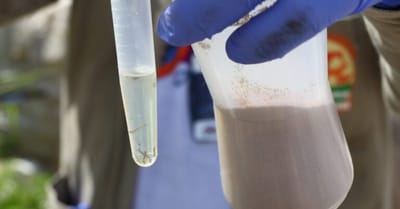 acoes-contra-o-aedes-alcancam-38-bairros-de-guarulhos-em-cinco-dias — 5