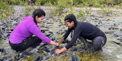 prazo-para-inscricao-de-trabalhos-no-forum-de-educacao-ambiental-termina-dia-30 — 82