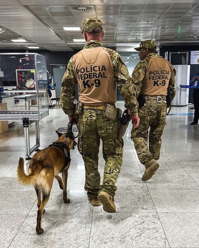 pf-prende-cinco-pessoas-e-apreende-mais-de-60-kg-de-cocaina-no-aeroporto-de-guar — 81