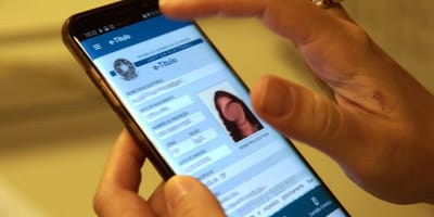 zanin-autoriza-acesso-gratuito-a-sites-da-justica-eleitoral-nas-eleicoes — 80
