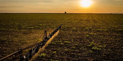 nova-lei-amplia-cobertura-e-protecao-do-seguro-rural-no-brasil — 75