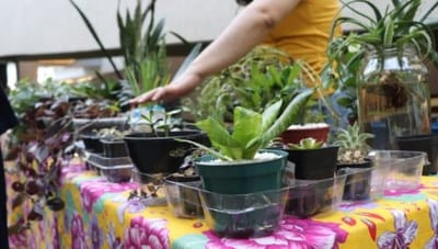 sesc-guarulhos-promove-troca-de-plantas-e-sementes-neste-sabado — 72