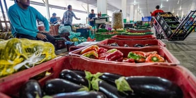 campanha-fazaxepa-busca-reduzir-desperdicio-de-alimentos-no-brasil — technology