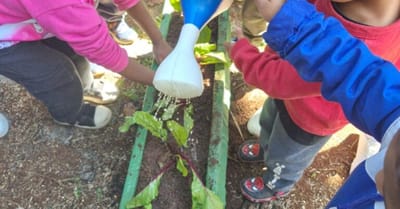 projetos-de-horta-e-multiplas-linguagens-estimulam-desenvolvimento-infantil-em-g — 50