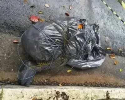 policia-civil-investiga-nove-mortes-com-sinais-de-execucao-em-sao-paulo — 47