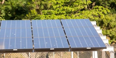 5-leilao-do-eco-invest-atrai-quase-r-50-bi-para-investimentos-verdes — 46