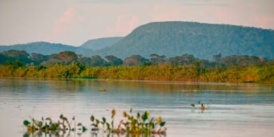 cerrado-perde-13-9-milhoes-de-hectares-de-vegetacao-nas-margens-de-rios — 45
