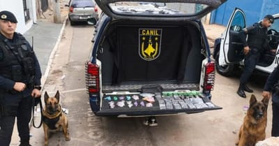 gcm-prende-tres-homens-por-trafico-e-apreende-6-2-kg-de-drogas-em-guarulhos — 44