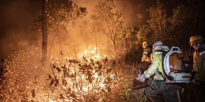 ibama-extingue-229-incendios-no-amazonas-e-combate-20-focos-ativos — 33