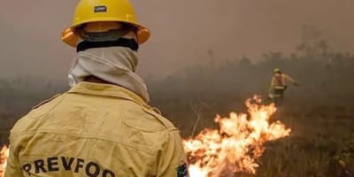 ibama-apaga-229-incendios-no-amazonas-e-reforca-combate-ao-fogo — 32