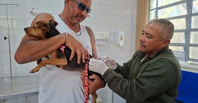 campanha-de-vacinacao-antirrabica-para-caes-e-gatos-em-guarulhos — 22