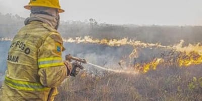 governo-investiga-organizacao-por-tras-de-incendios-no-amazonas — 19