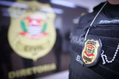 policia-civil-prende-analista-suspeita-de-desviar-r-2-milhoes-de-banco-na-avenid — 18