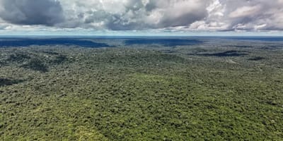amazonia-registra-menor-nivel-de-desmatamento-em-41-anos — 17