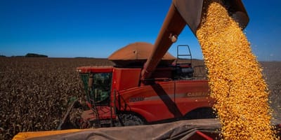 ibge-projeta-safra-de-graos-recorde-para-2026-com-354-5-milhoes-de-toneladas — 17