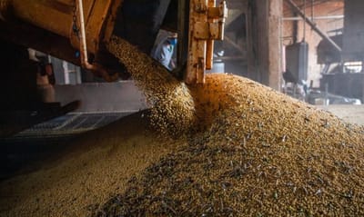 brasil-deve-produzir-367-milhoes-de-toneladas-de-graos-na-safra-2026-2027 — 16