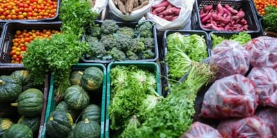 agricultura-familiar-e-cozinhas-solidarias-reforcam-combate-a-fome-no-brasil — 12