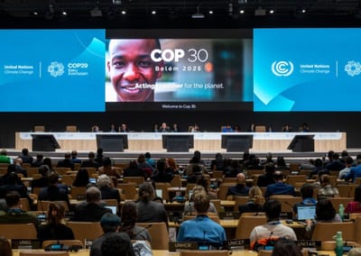 COP 30 no Brasil em 2025 debaterá temas desafiadores — ao vivo F0 9F 94 B4cop30