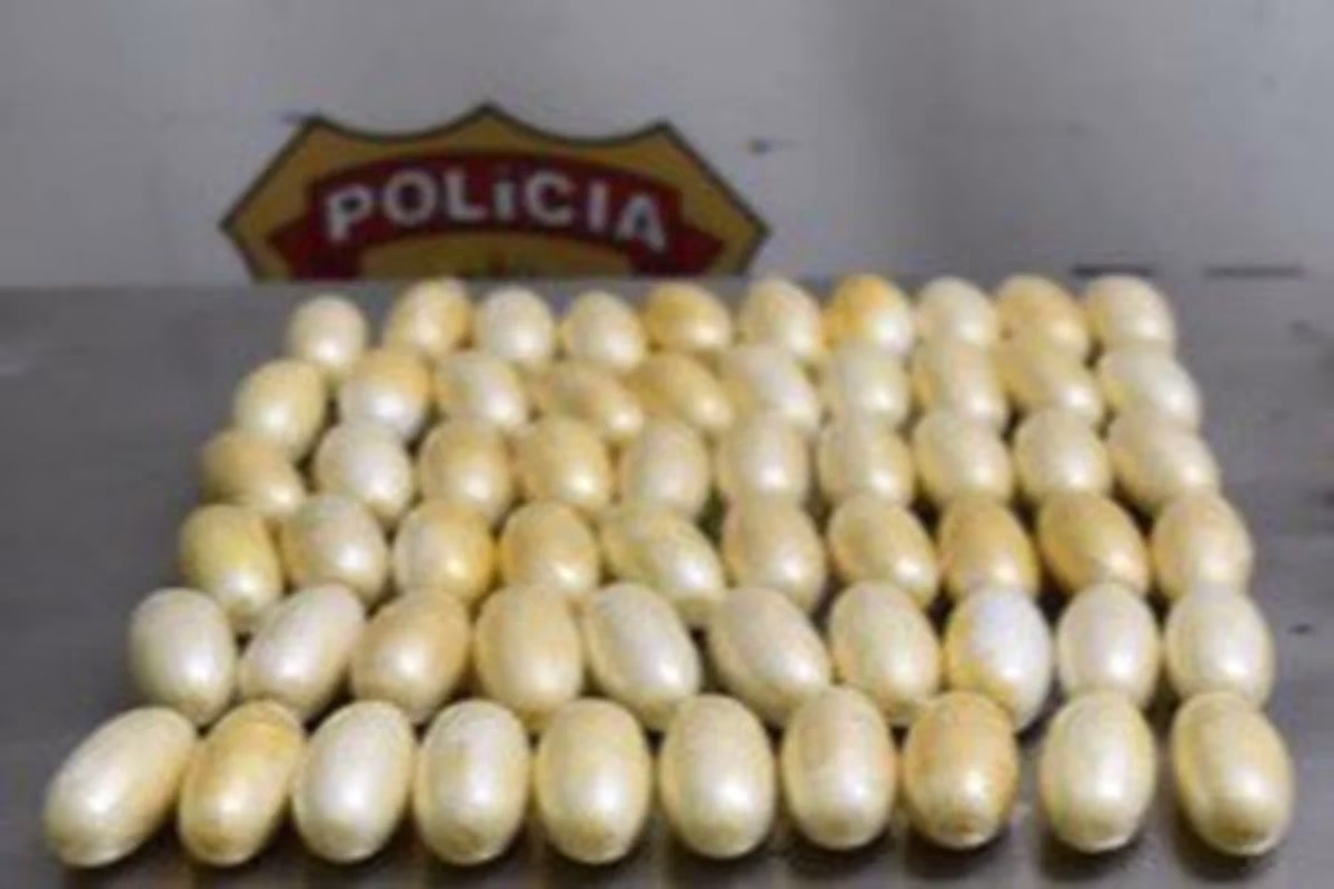 PF Captura Oito Foragidos e Apreende Mais de 100 kg de Cocaína em Guarulhos