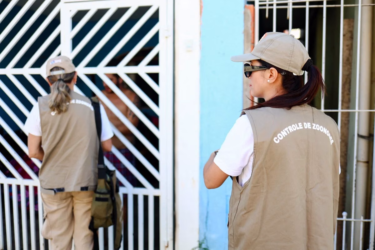 Combate à dengue em Guarulhos: Prefeitura vistoria 70 locais em ofensiva contra o mosquito